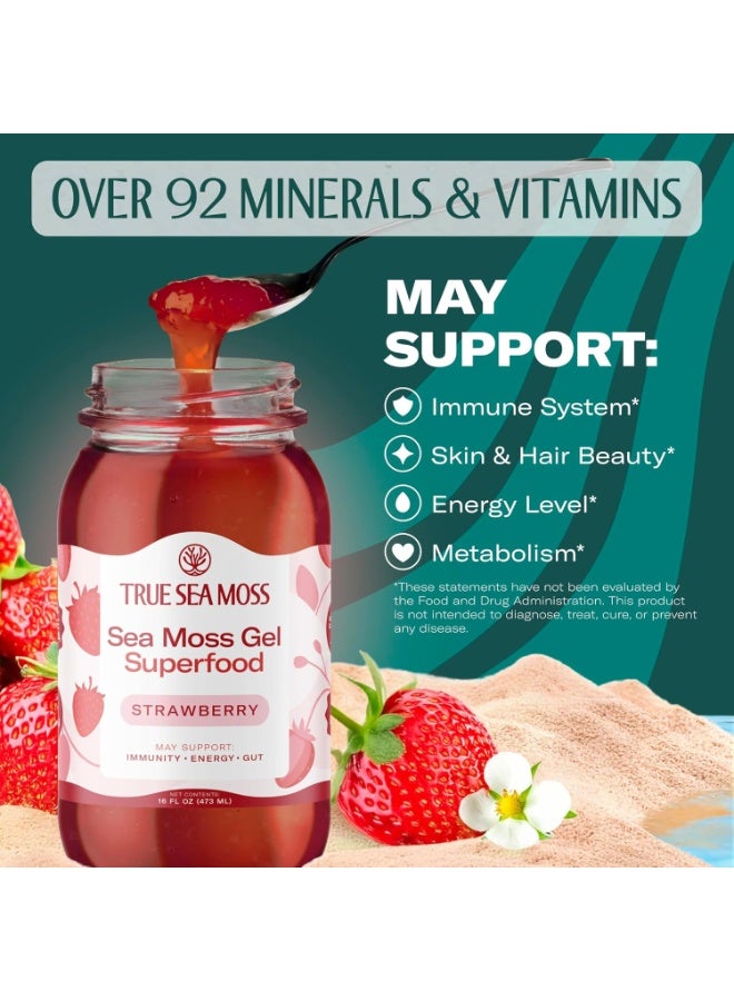 True Sea Moss TrueSeaMoss Sea Moss Gel – Made in USA –  Seamoss, Fresh Fruits & Sea Vegetables – (Strawberry) 473ml  Pack of 1 - Image 3