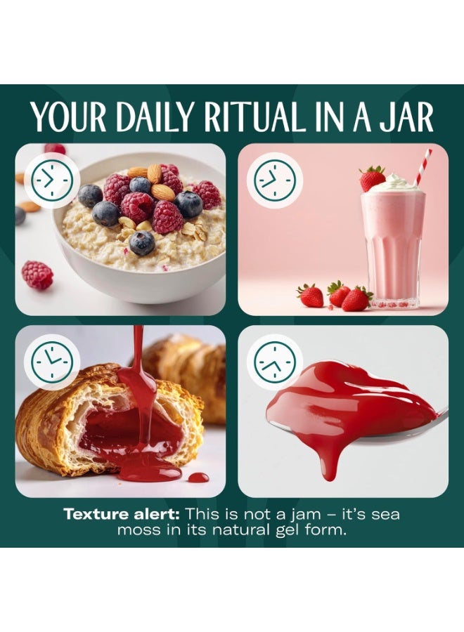 True Sea Moss TrueSeaMoss Sea Moss Gel – Made in USA –  Seamoss, Fresh Fruits & Sea Vegetables – (Strawberry) 473ml  Pack of 1 - Image 4