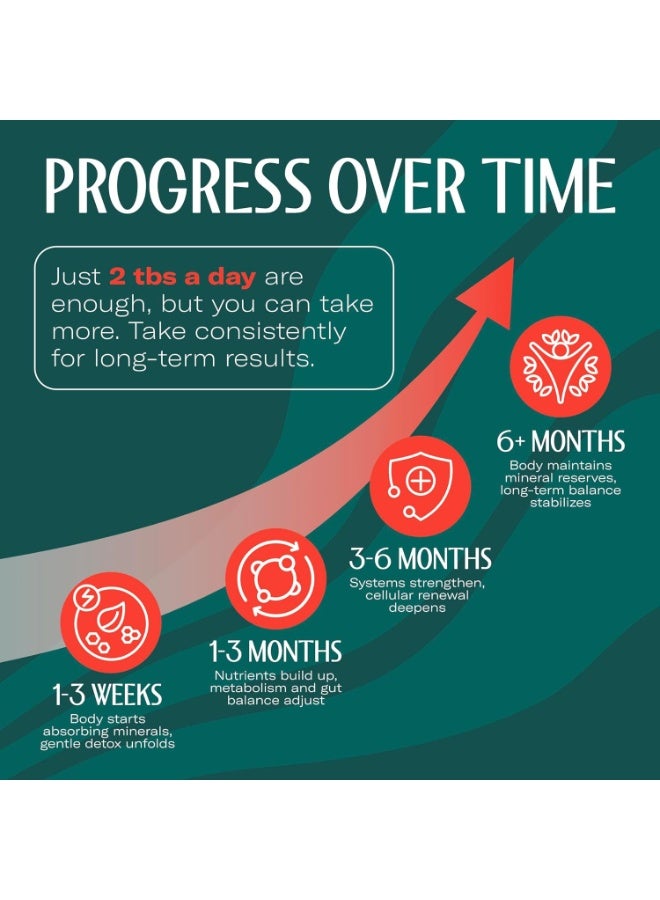 True Sea Moss TrueSeaMoss Sea Moss Gel – Made in USA –  Seamoss, Fresh Fruits & Sea Vegetables – (Strawberry) 473ml  Pack of 1 - Image 5