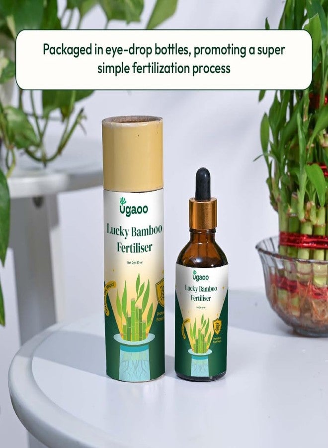 أوجاو سماد سائل لنبات الخيزران المحظوظ من أوغاو - معزز للنمو (50 مل) - Image 4