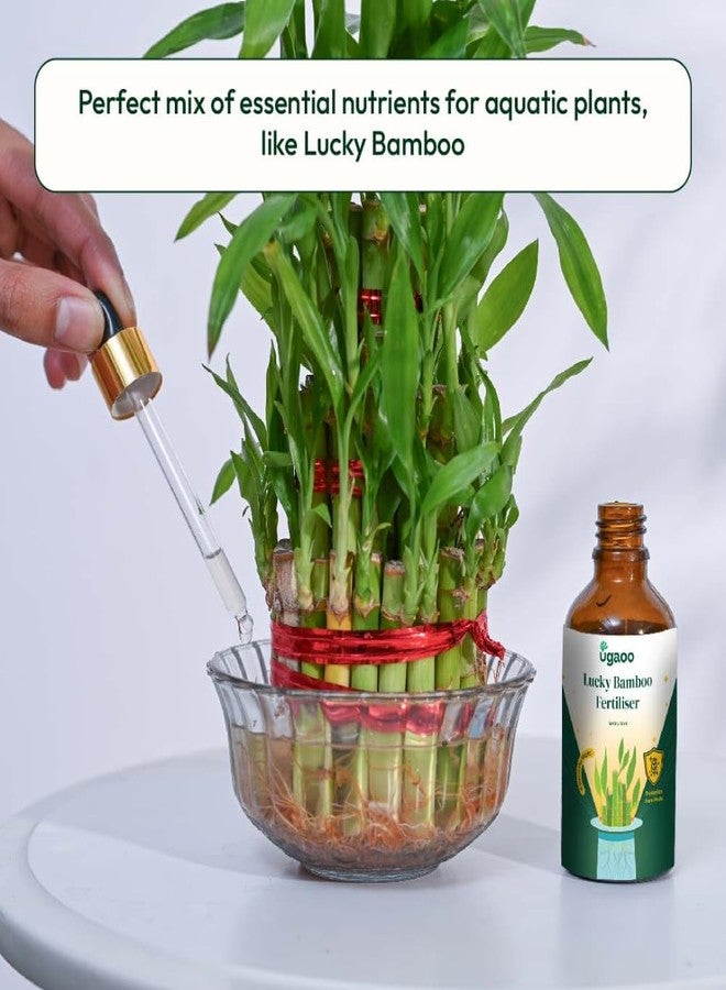 أوجاو سماد سائل لنبات الخيزران المحظوظ من أوغاو - معزز للنمو (50 مل) - Image 2