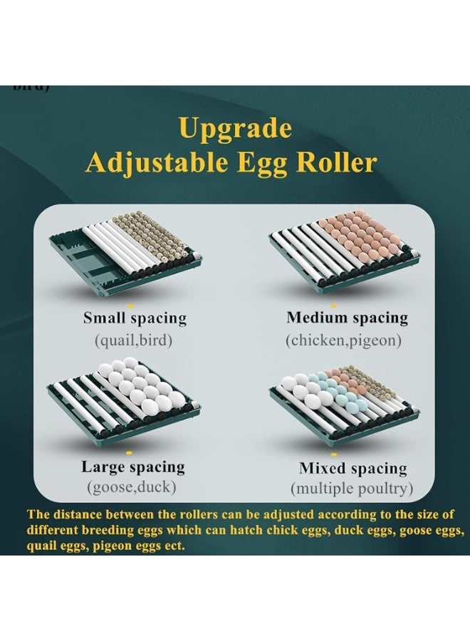 YOUWE7 Egg Automatic Incubator 12-15 Eggs Automatic Intelligent Incubators for Hatching Eggs,Poultry Hatching Machine for Chicken Duck Goose Quail Bird Pigeon - Image 3