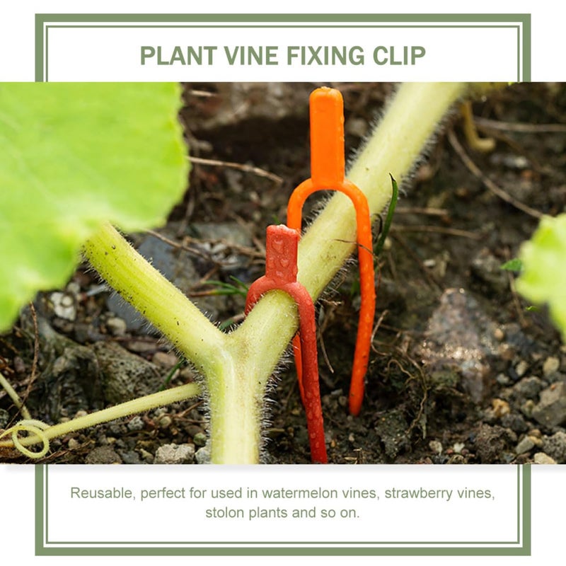 Sturdy Plastic Plant Support Clamps 400 Pcs for Strawberry Vegetable Garden Vine - Image 4