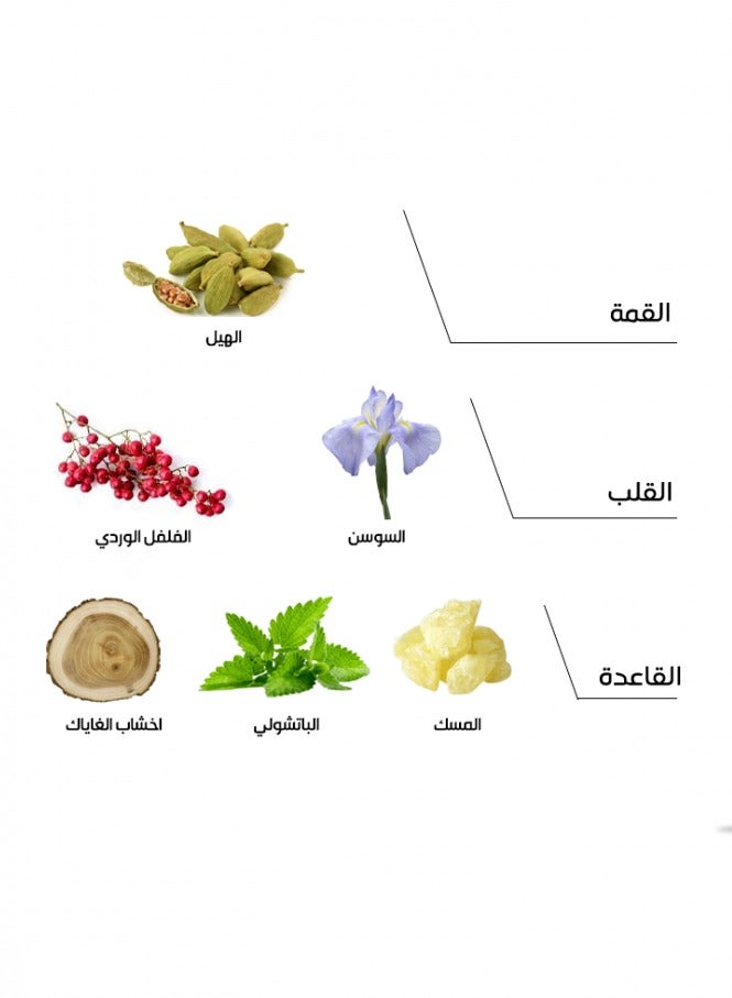 غينا عطر VI من غنى 100 مل - Image 2