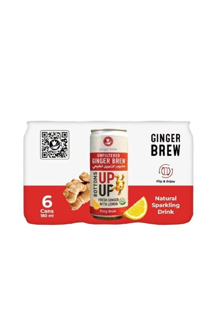 Ginger Brew Sparkling Drink - 6 Cans