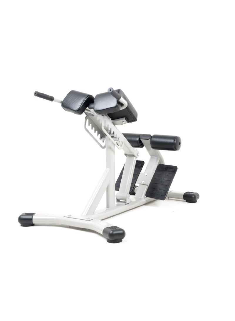 CHAMP KIT - Roman Chair - A Chair for Lower Back Exercises - Supports up to 500 kg - Image 1