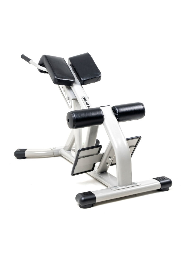 CHAMP KIT - Roman Chair - A Chair for Lower Back Exercises - Supports up to 500 kg - Image 1