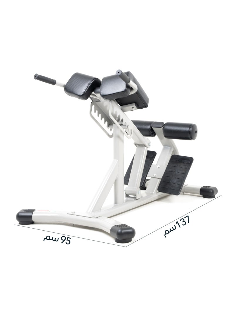 CHAMP KIT - Roman Chair - A Chair for Lower Back Exercises - Supports up to 500 kg - Image 1