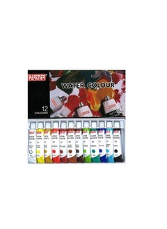 PARTNER Partner 12 PCS Oil Colour Set - 12 mL Tubes  - Image 2