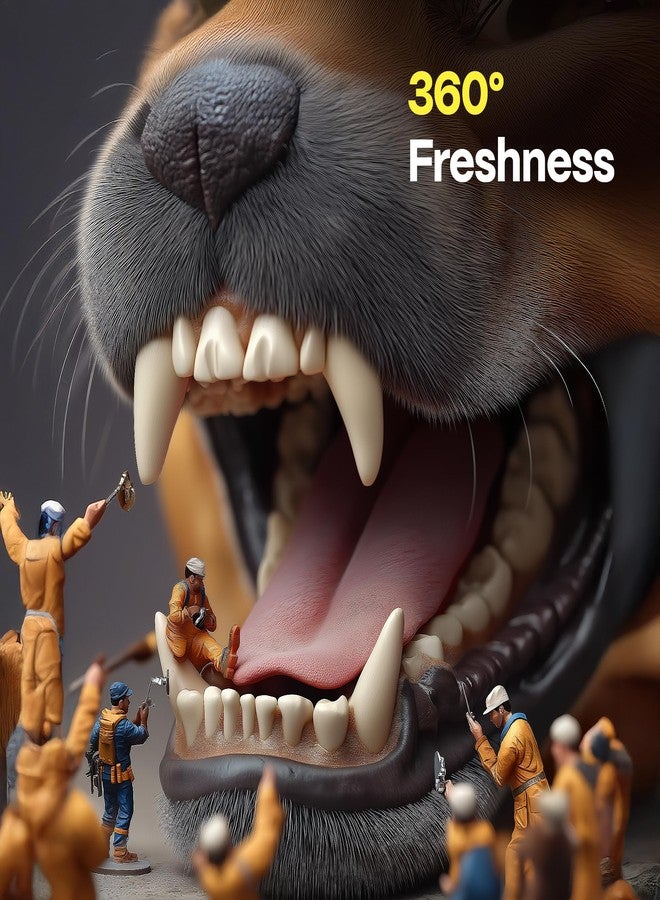 دوكو مناديل تنظيف أسنان الكلاب من دوكو، مناديل تنظيف أسنان للأصابع للقطط والكلاب، تزيل البلاك والجير، وتنعش النفس، لا تحتاج إلى شطف، مجموعة تنظيف أسنان الحيوانات الأليفة سهلة وفعالة للعناية بالفم (بنكهة الجريب فروت، 50 منديل) - Image 4