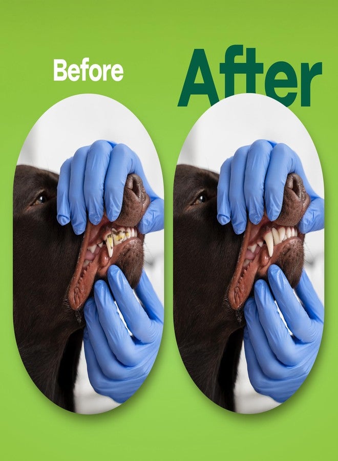 دوكو مناديل تنظيف أسنان الكلاب من دوكو، مناديل تنظيف أسنان للأصابع للقطط والكلاب، تزيل البلاك والجير، وتنعش النفس، لا تحتاج إلى شطف، مجموعة تنظيف أسنان الحيوانات الأليفة سهلة وفعالة للعناية بالفم (بنكهة الجريب فروت، 50 منديل) - Image 5