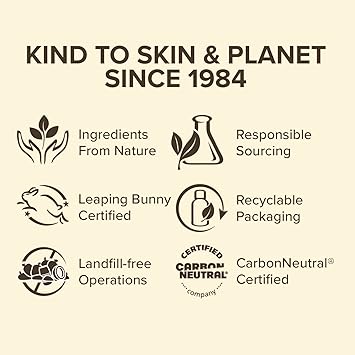 Burt's Bees Burts Bees 100 Natural Moisturizing Lip Balm Pomegranate Vanilla Maple Pumpkin Spice Chai Tea 4 tubes - Image 5