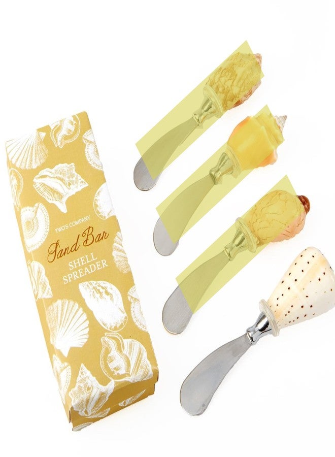 توز كومباني موزع صدفي من ساند بار - مصنوع من الفولاذ المقاوم للصدأ ومقبض من الصدف - معبأ في علبة هدايا لإضفاء لمسة ساحلية على حفلاتكم - Image 1