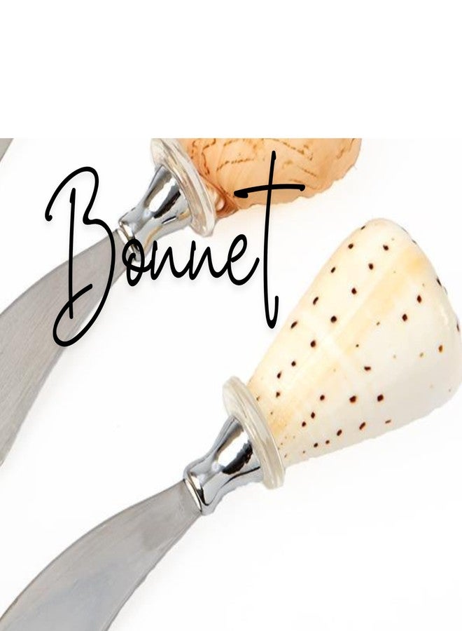 توز كومباني موزع صدفي من ساند بار - مصنوع من الفولاذ المقاوم للصدأ ومقبض من الصدف - معبأ في علبة هدايا لإضفاء لمسة ساحلية على حفلاتكم - Image 4