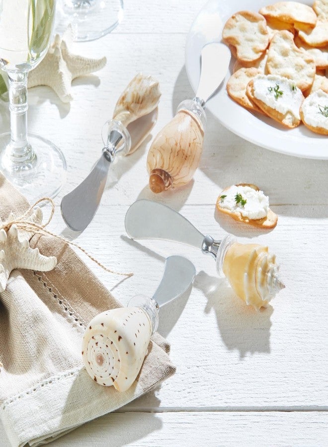 توز كومباني موزع صدفي من ساند بار - مصنوع من الفولاذ المقاوم للصدأ ومقبض من الصدف - معبأ في علبة هدايا لإضفاء لمسة ساحلية على حفلاتكم - Image 3