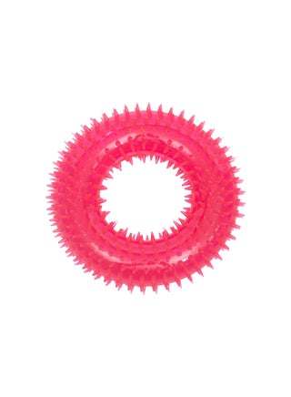 Durable Dog Squeaky Donut shaped Toy - pzsku/ZB68CDC781A5C94FD919FZ/45/_/1701075376/e55ab62e-daae-4ff8-ab01-4fc3f5a7fc17