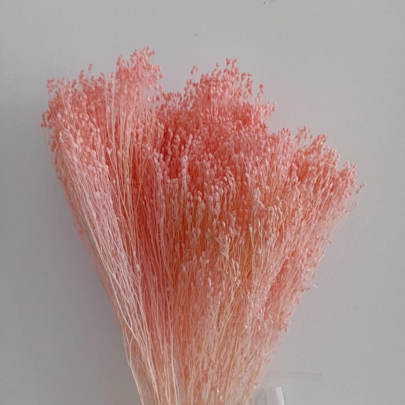 Bluejw Yunnan Dried Broom Bloom Flowers 50g Bunch, Real Natural Preserved Dried Plants for Home Events Decor - Image 3