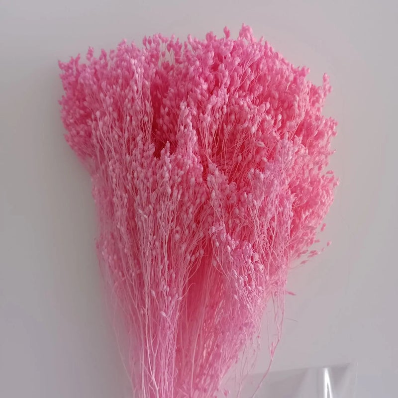 Bluejw Yunnan Dried Broom Bloom Flowers 50g Bunch, Real Natural Preserved Dried Plants for Home Events Decor - Image 4