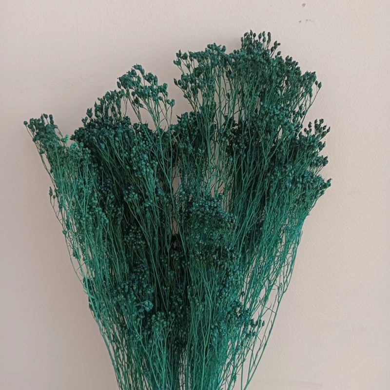 Bluejw Yunnan Dried Broom Bloom Flowers 50g Bunch, Real Natural Preserved Dried Plants for Home Events Decor - Image 1