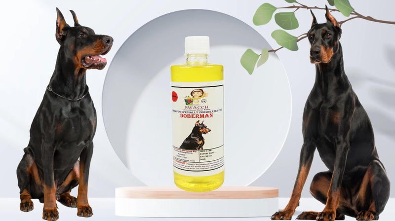 Swacch Shampoo Specially Formulated for Doberman (500ml) Lemon - Image 2