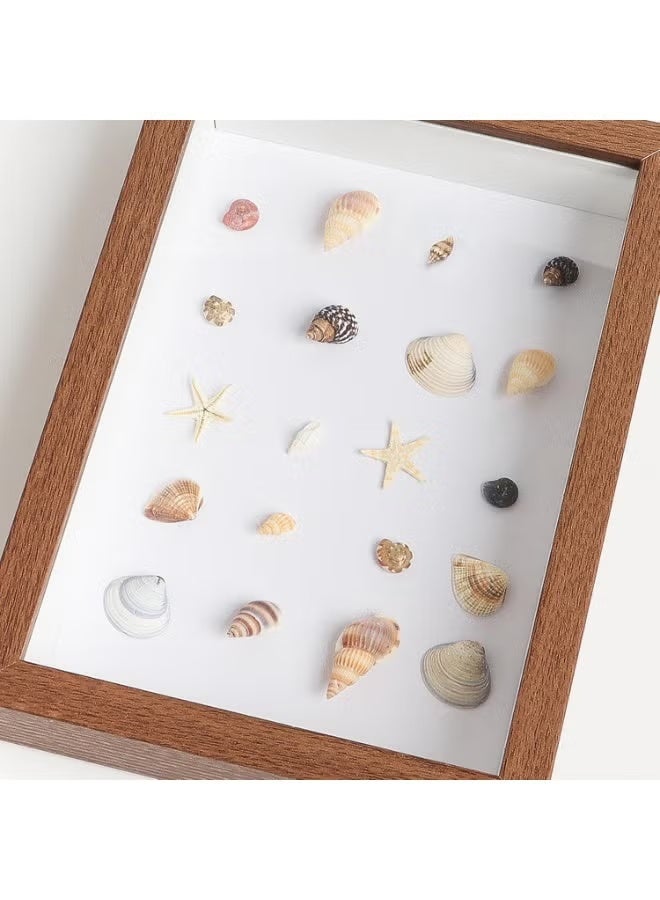 GIFT Tiny Sea Shells Small Natural Starfish Mixed Ocean Beach Spiral Seashells for Home Decorations, Wedding Decor, Candle Making, Beach Theme Party,DIY Crafts and Vase Filler - Image 5