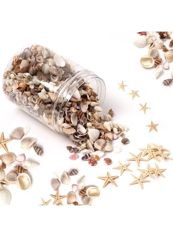 GIFT Tiny Sea Shells Small Natural Starfish Mixed Ocean Beach Spiral Seashells for Home Decorations, Wedding Decor, Candle Making, Beach Theme Party,DIY Crafts and Vase Filler - Image 1