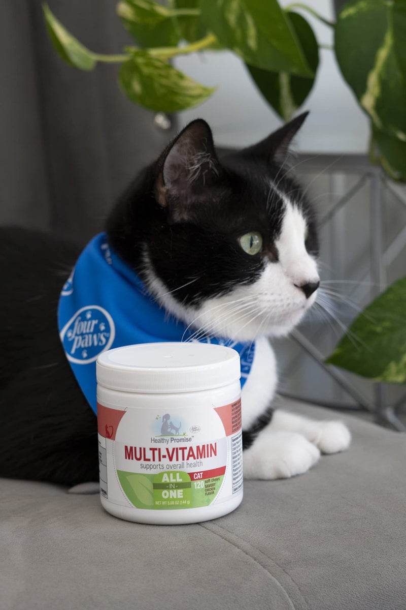 Four Paws Healthy Promise Cat Multivitamin Soft Chews 120 Count - Image 2