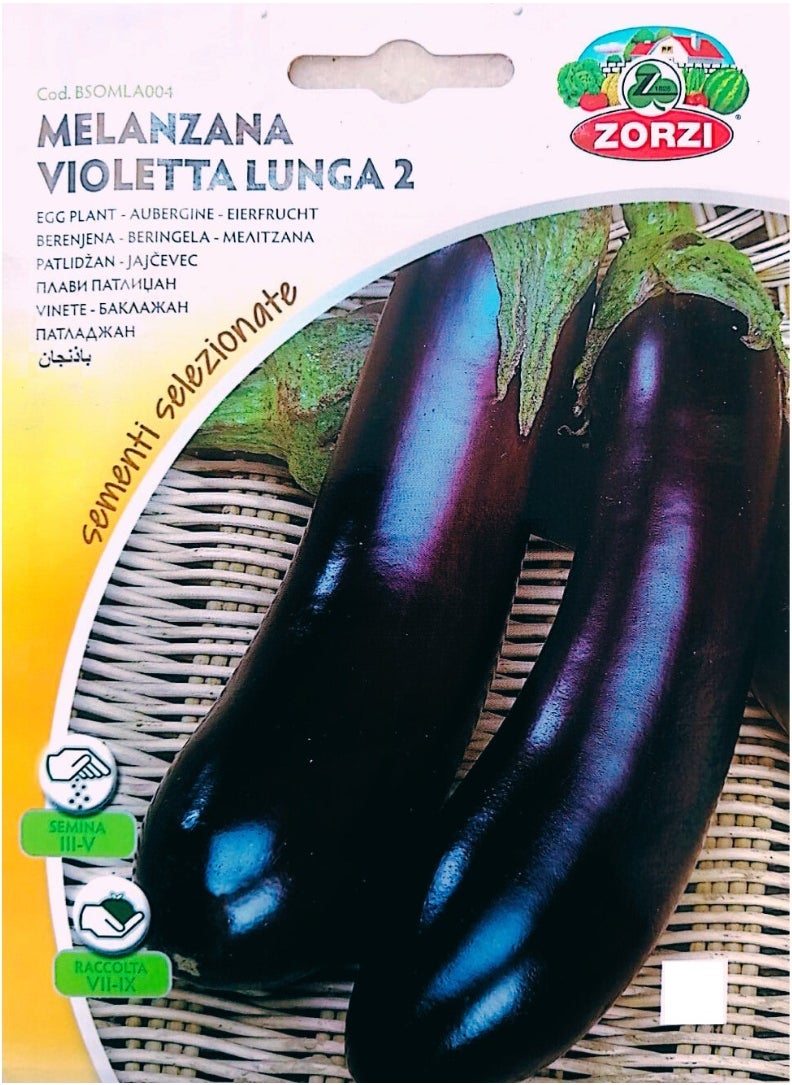ZORZI - Eggplant Seeds - Image 1