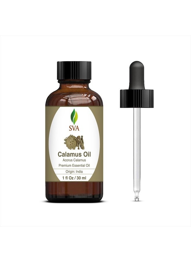 SVA Organics SVA Calamus Essential Oil 1 Oz 100% Pure Natural Premium Therapeutic Grade with Dropper for Diffuser, Aromatherapy, Skin, Hair & Massage  - Image 1