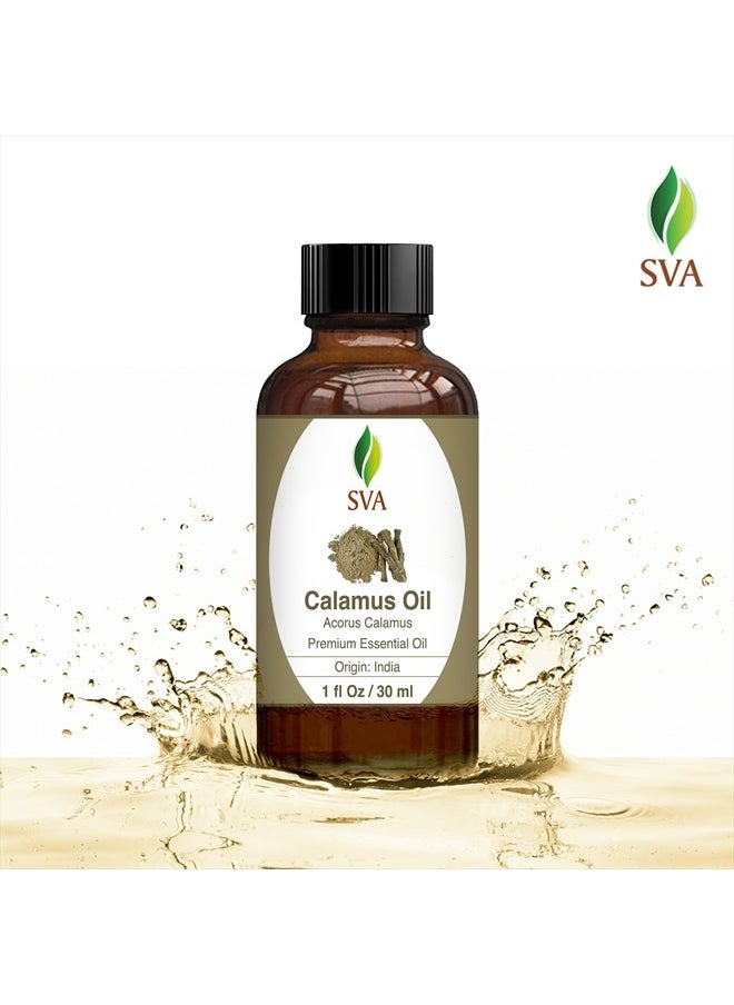 SVA Organics SVA Calamus Essential Oil 1 Oz 100% Pure Natural Premium Therapeutic Grade with Dropper for Diffuser, Aromatherapy, Skin, Hair & Massage  - Image 4