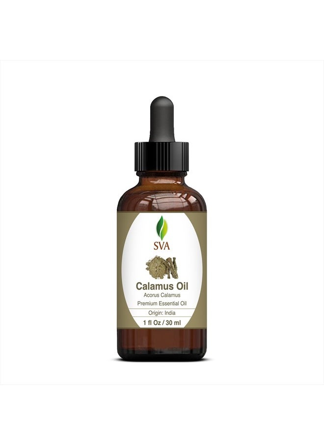 SVA Organics SVA Calamus Essential Oil 1 Oz 100% Pure Natural Premium Therapeutic Grade with Dropper for Diffuser, Aromatherapy, Skin, Hair & Massage  - Image 3