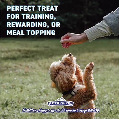 Nutri Bites Freeze Dried Chicken Dog & Cat Treats | Healthy Pet Training Treats or Food Topper | All Natural, 1 Single Animal Protein, High Protein | Premium Bulk Value Pack, 15 oz - Image 3