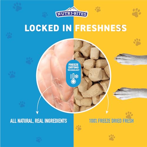 Nutri Bites Freeze Dried Chicken Dog & Cat Treats | Healthy Pet Training Treats or Food Topper | All Natural, 1 Single Animal Protein, High Protein | Premium Bulk Value Pack, 15 oz - Image 4