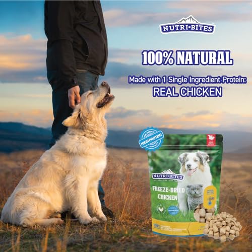 Nutri Bites Freeze Dried Chicken Dog & Cat Treats | Healthy Pet Training Treats or Food Topper | All Natural, 1 Single Animal Protein, High Protein | Premium Bulk Value Pack, 15 oz - Image 2