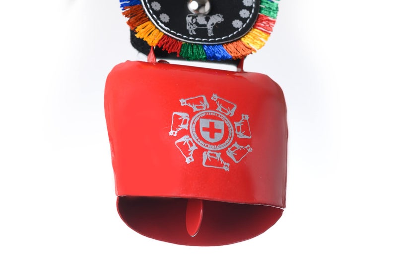 Tej Gifts Swiss Cow Bell – Metal Vastu Bell, DDLJ Style Hanging Bell Key Chain, Car & Door Hanging, Religious Wall Décor & Good Luck Gift (Size 6 = 9 cm x 5.5 cm x 20 cm) - Image 5