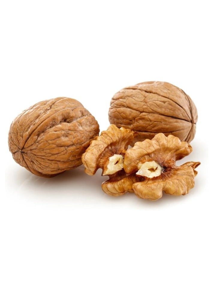 Natural Raw Walnuts, Premium Shelled, 500g - Image 2