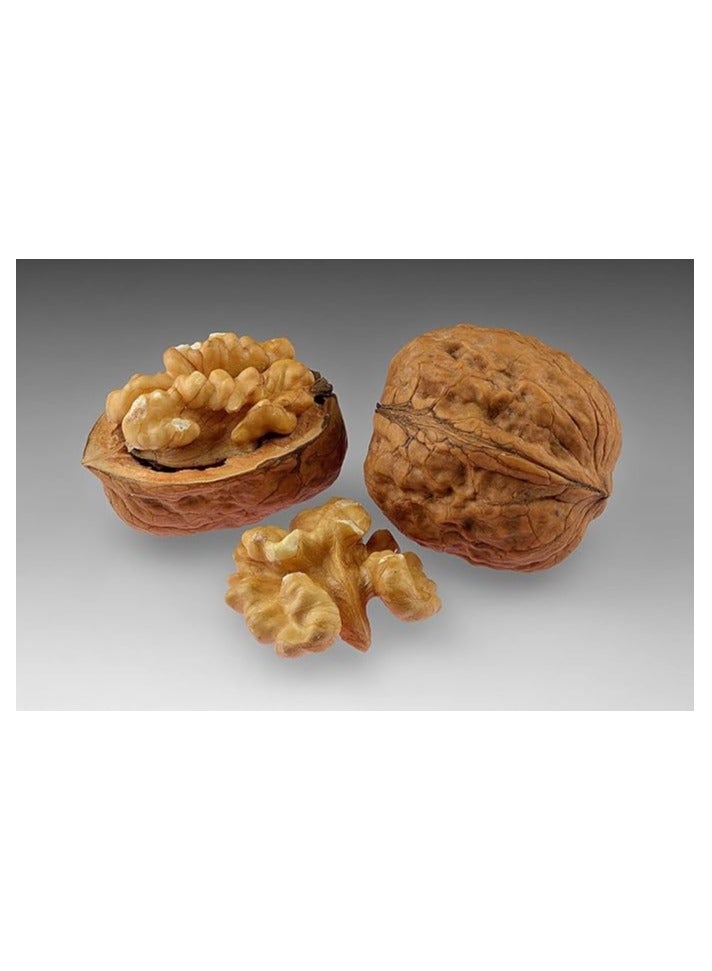 Natural Raw Walnuts, Premium Shelled, 500g - Image 1