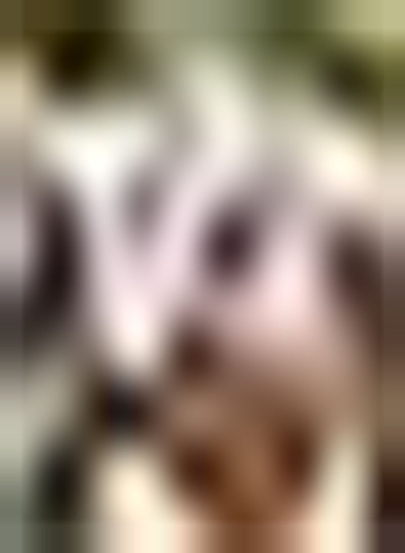 GGOOT 200pcs Pink  Seeds Climbing Flowers for Balcony Hanging Basket Planting Night Sky Decoration Has Ornamental Value - Image 2