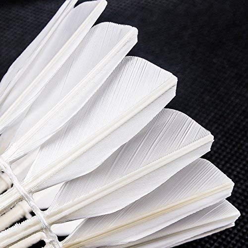 Senston Badminton Shuttlecocks 6 Pack Sports Birdies Shuttlecock 6PCS for Outdoor Indoor Sports Activities - Image 5