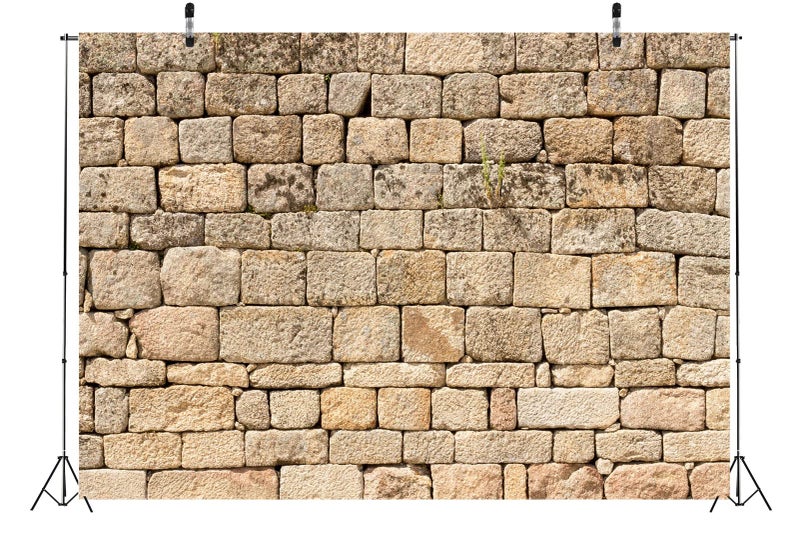 BELECO Vintage Brick Stone Wall Backdrop - 7x5ft Fabric Ancient Rock Wall Textured Background for Photography and Party Decorations - Image 3