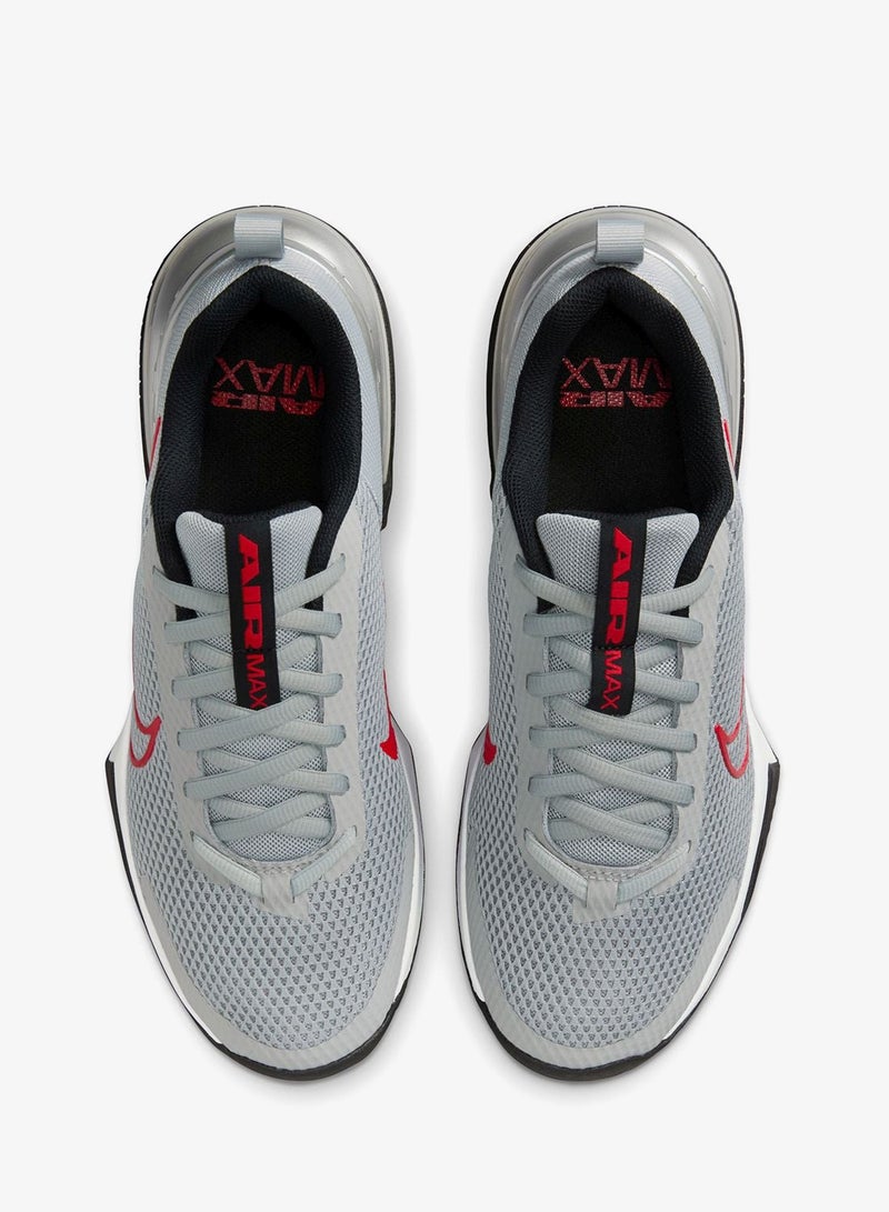 نايكي إير ماكس ألفا ترينر - Image 5