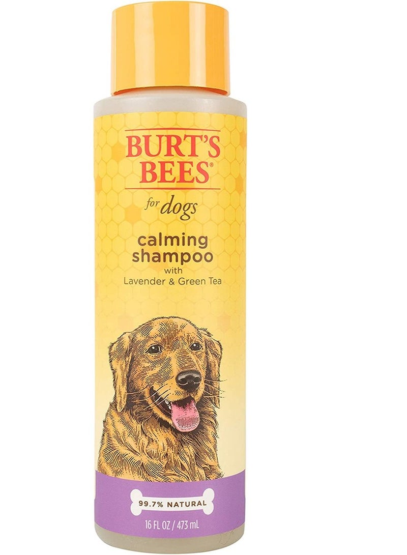 بيرتس بيز شامبو بيرتس بيز للكلاب الطبيعي المهدئ مع اللافندر والشاي الأخضر - Image 1