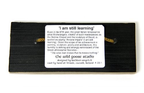 WILDGOOSE Wild Goose Studio I Am Still Learning Irish Plaque Michelangelo Quote Resin Cast Coated In Bronze Indoor Outdoor 2 12 Inches Tall By 6 Wide Made in Ireland - Image 3