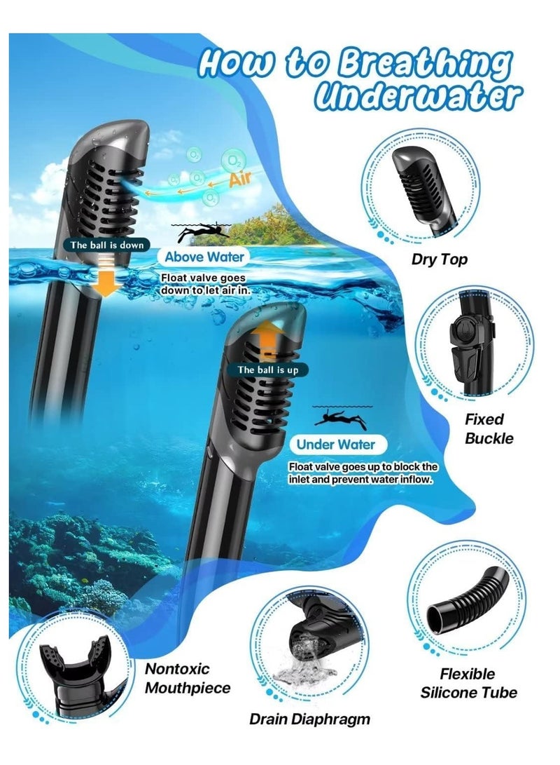 تراسل طقم قناع زعانف غطس للكبار رجال نساء، نظارات سباحة بانورامية مضادة للضباب ومضادة للتسرب من الأعلى، طقم زعانف غطس جاف وزعانف غوص مع حقيبة معدات للغطس والسباحة والغوص - Image 3