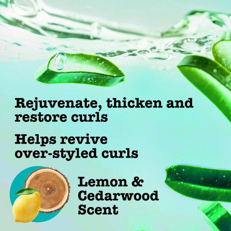 MAUI MOISTURE بلسم ماوي مويستشر لتكثيف واستعادة + ألياف البامبو لتقوية الشعر لتنعيم الشعر المتحول أو الطبيعي وتجديد الشعر الهش، نباتي، خالي من السيليكون والبارابين، 13 أونصة سائلة - Image 3