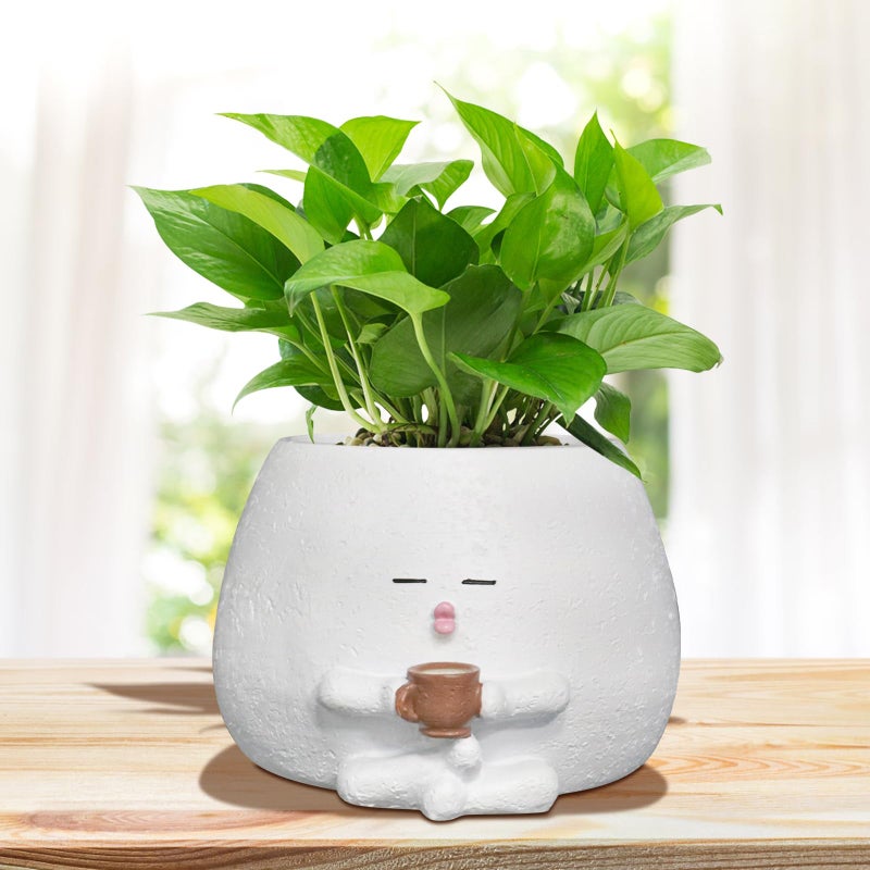 Toparad Smily Face Planter Pot with Coffee Cup Cute Resin Flower Head Planters for Indoor Outdoor Unique Sit Succulent Pots with Drainage Hole Gift IdeaI for Mother Christmas (White) - Image 5