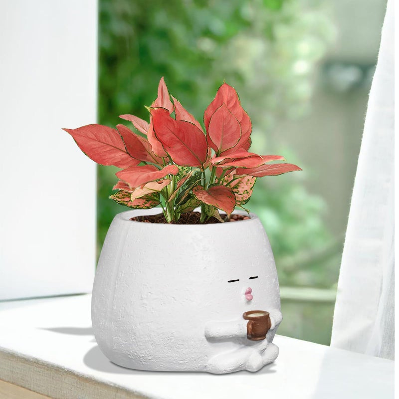 Toparad Smily Face Planter Pot with Coffee Cup Cute Resin Flower Head Planters for Indoor Outdoor Unique Sit Succulent Pots with Drainage Hole Gift IdeaI for Mother Christmas (White) - Image 2