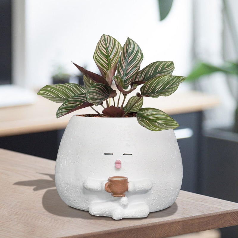 Toparad Smily Face Planter Pot with Coffee Cup Cute Resin Flower Head Planters for Indoor Outdoor Unique Sit Succulent Pots with Drainage Hole Gift IdeaI for Mother Christmas (White) - Image 1