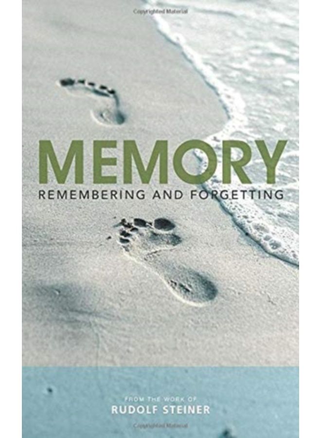 Memory : Remembering And Forgetting - Paperback 