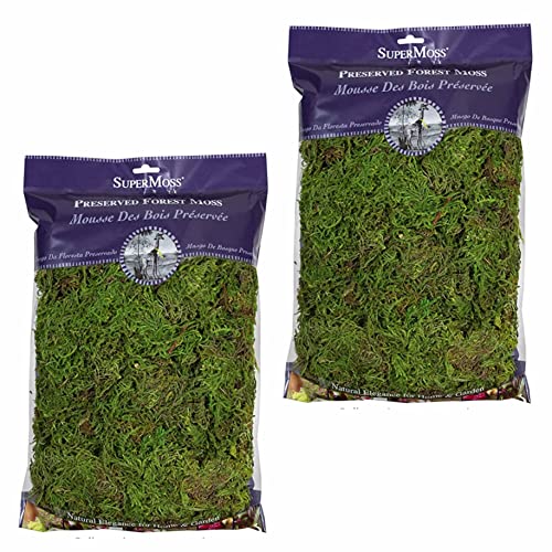 SuperMoss Forest Moss (2 Pack, 8oz) - Modern Garden Moss - Image 2